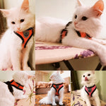 Cat Dog Harness Adjustable Vest Walking Lead Leash